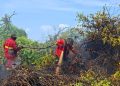 111 Tersangka Karhutla di Riau, Jikalahari Pertanyakan: Korporasinya Mana?