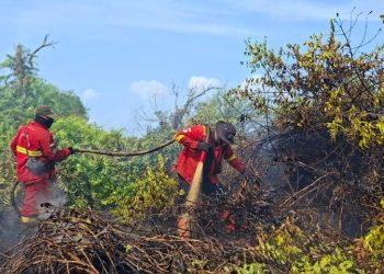 111 Tersangka Karhutla di Riau, Jikalahari Pertanyakan: Korporasinya Mana?