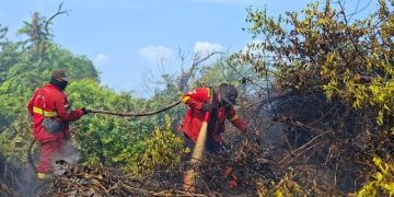 111 Tersangka Karhutla di Riau, Jikalahari Pertanyakan: Korporasinya Mana?