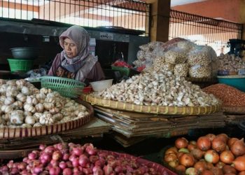 RPB Perluas Jejaring Antarprovinsi untuk Stabilitas Kebutuhan Pangan Riau