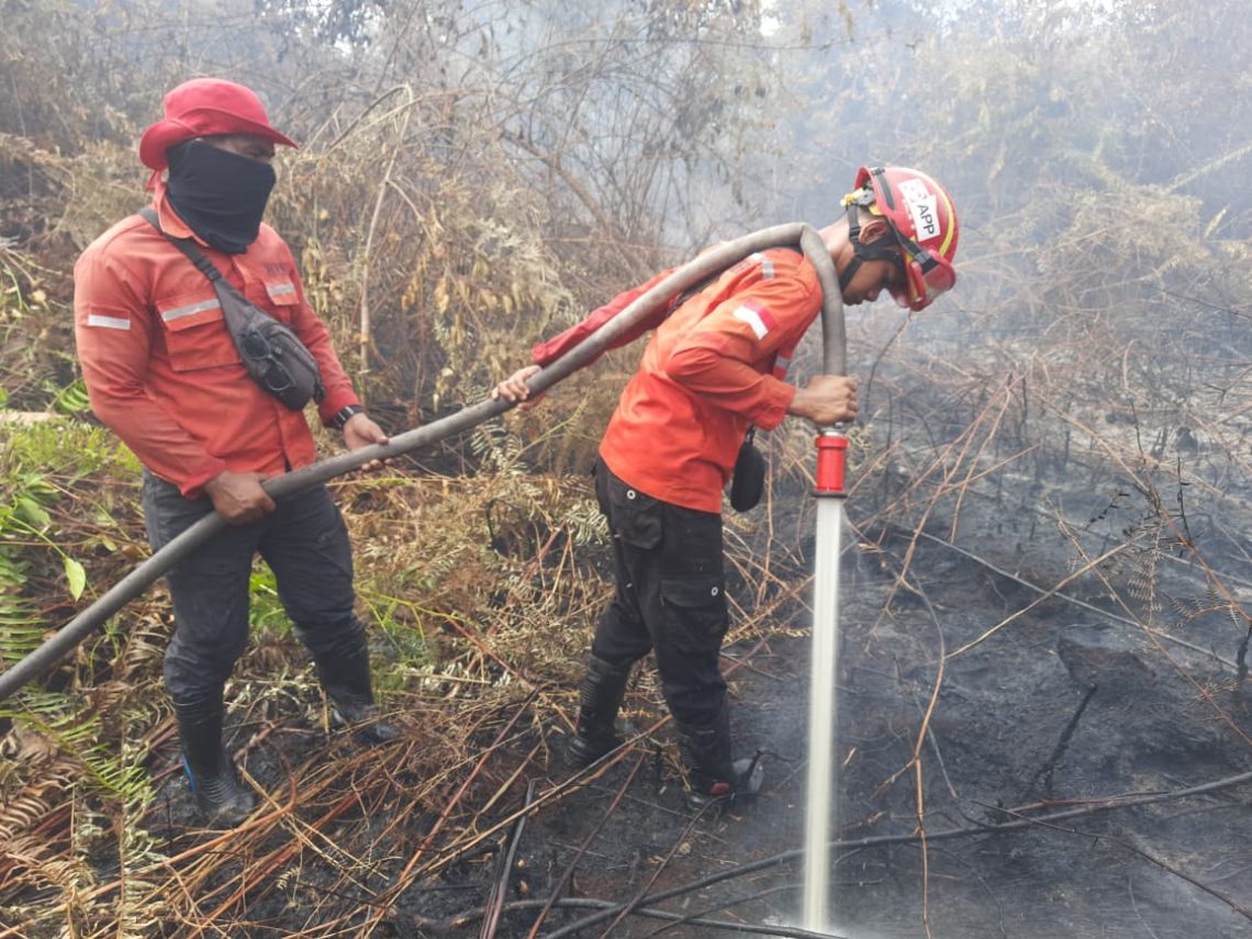 PBPH Bantu Pemadaman Karhutla di Pelalawan, APHI Riau Perkuat Perlindungan Desa