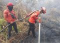 PBPH Bantu Pemadaman Karhutla di Pelalawan, APHI Riau Perkuat Perlindungan Desa