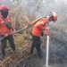 PBPH Bantu Pemadaman Karhutla di Pelalawan, APHI Riau Perkuat Perlindungan Desa