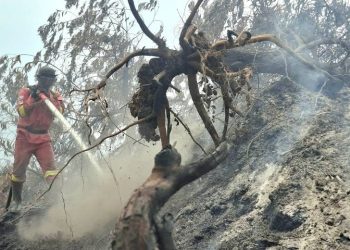 Karhutla Inhil Ancam Permukiman, PLTU dan MPA Ikut Dikerahkan