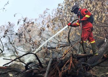 36 Helikopter Asing dari 8 Negara Dikerahkan Tangani Karhutla Kalimantan