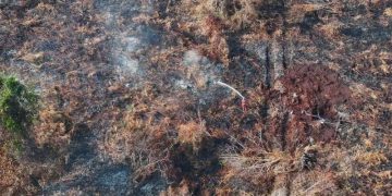 Karhutla Riau Kembali Muncul, Helikopter Water Bombing Dikerahkan ke Inhu dan Bengkalis