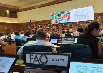 Organisasi Nelayan Kritik Kebijakan Perikanan Indonesia di SSF Summit Roma