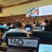 Organisasi Nelayan Kritik Kebijakan Perikanan Indonesia di SSF Summit Roma