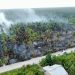 Kebun Kelapa Terbakar di Indragiri Hilir, Api Menjalar di Lahan Gambut