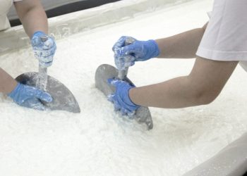 Wabah Cacar Guncang Industri Keju Feta, Produksi Terancam