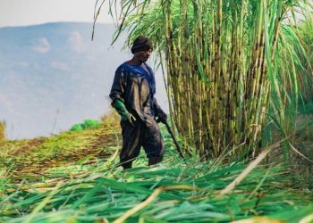 Rakyat Wajib Kantongi 30% Manfaat Industri Bioetanol