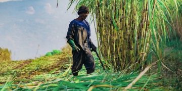 Rakyat Wajib Kantongi 30% Manfaat Industri Bioetanol