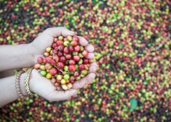 Hadapi Regulasi Global, Kemenperin Perketat Standar Komoditas Strategis
