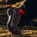 Rekomendasi Sepatu Trekking Terbaik untuk Pendakian, Mulai Dari Salomon hingga Adidas