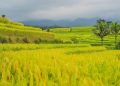Inilah 4 Tempat Wisata di Bali yang Mengagumkan