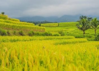 Inilah 4 Tempat Wisata di Bali yang Mengagumkan