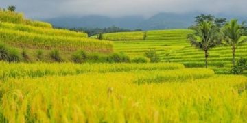 Inilah 4 Tempat Wisata di Bali yang Mengagumkan