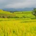 Inilah 4 Tempat Wisata di Bali yang Mengagumkan