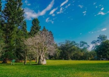 Inilah 4 Tempat Wisata di Bogor yang Sejuk Cocok untuk Healing