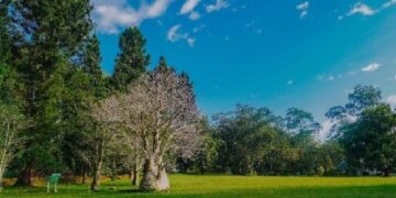 Inilah 4 Tempat Wisata di Bogor yang Sejuk Cocok untuk Healing