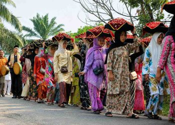 Hutan Adat Kenegerian Pulau Gadang dalam Ancaman