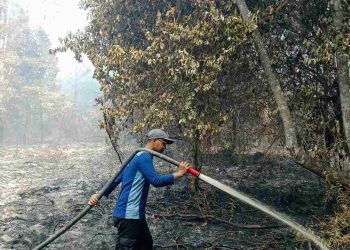 APHI Riau Dorong Pemberdayaan Masyarakat Jadi Kunci Pencegahan Karhutla