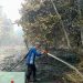 APHI Riau Dorong Pemberdayaan Masyarakat Jadi Kunci Pencegahan Karhutla