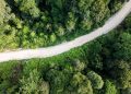 Yayasan Hutan Tropis Tawarkan Praktik Bisnis Bertanggung Jawab