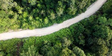 Yayasan Hutan Tropis Tawarkan Praktik Bisnis Bertanggung Jawab