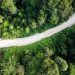 Yayasan Hutan Tropis Tawarkan Praktik Bisnis Bertanggung Jawab