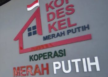 Riau Percepat Verifikasi 209 Koperasi Desa Merah Putih
