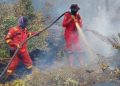 150 Hotspot Muncul di Riau, Kualitas Udara di Pekanbaru Masih Tidak Sehat
