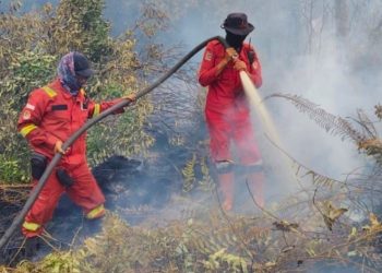 150 Hotspot Muncul di Riau, Kualitas Udara di Pekanbaru Masih Tidak Sehat