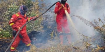 150 Hotspot Muncul di Riau, Kualitas Udara di Pekanbaru Masih Tidak Sehat