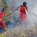 150 Hotspot Muncul di Riau, Kualitas Udara di Pekanbaru Masih Tidak Sehat