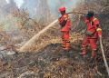 Data Luasan Lahan Terbakar di Pekanbaru 2026
