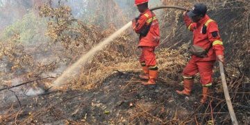 Data Luasan Lahan Terbakar di Pekanbaru 2026