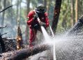 Operasi Pemadaman Karhutla Riau Berlanjut, Sejumlah Titik Belum Padam