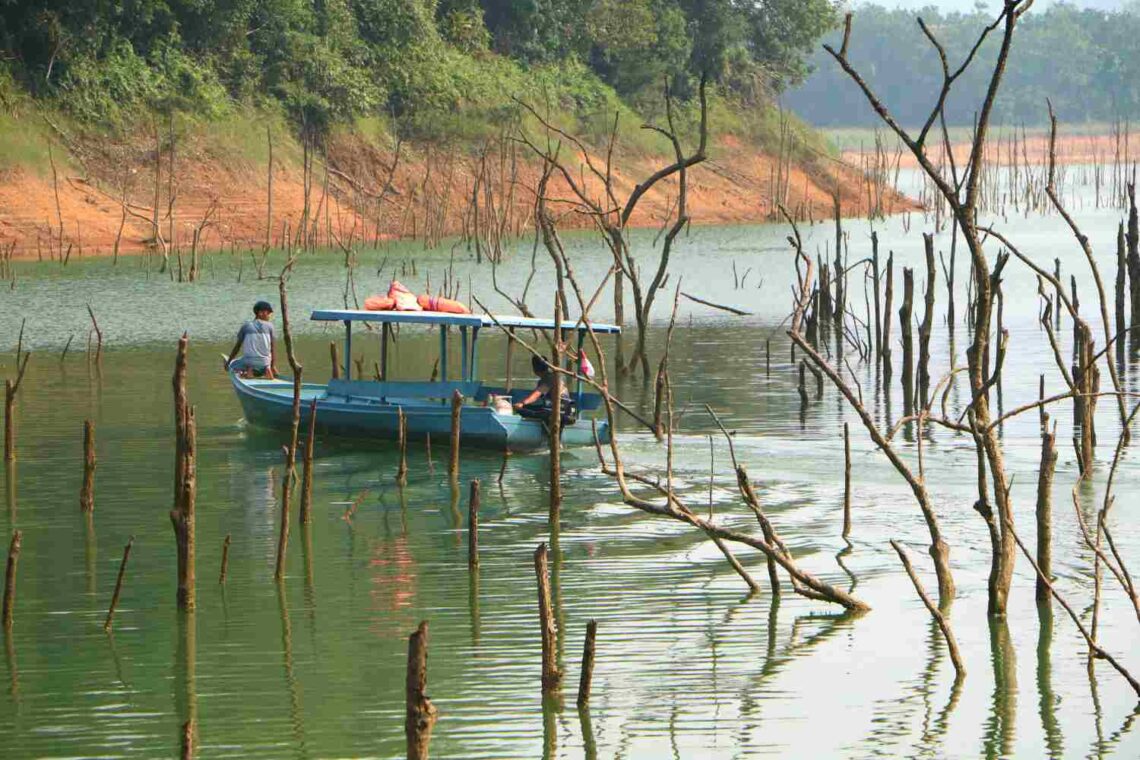 Kredit Biodiversitas Dilirik untuk Konservasi, Risiko Tak Ramah Lingkungan Mengemuka