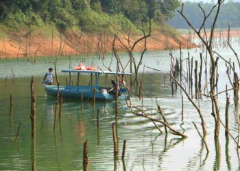 Kredit Biodiversitas Dilirik untuk Konservasi, Risiko Tak Ramah Lingkungan Mengemuka