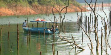 Kredit Biodiversitas Dilirik untuk Konservasi, Risiko Tak Ramah Lingkungan Mengemuka