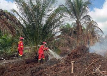 Karhutla Hancurkan Hampir 300 Rumah, 1.000 Warga Mengungsi