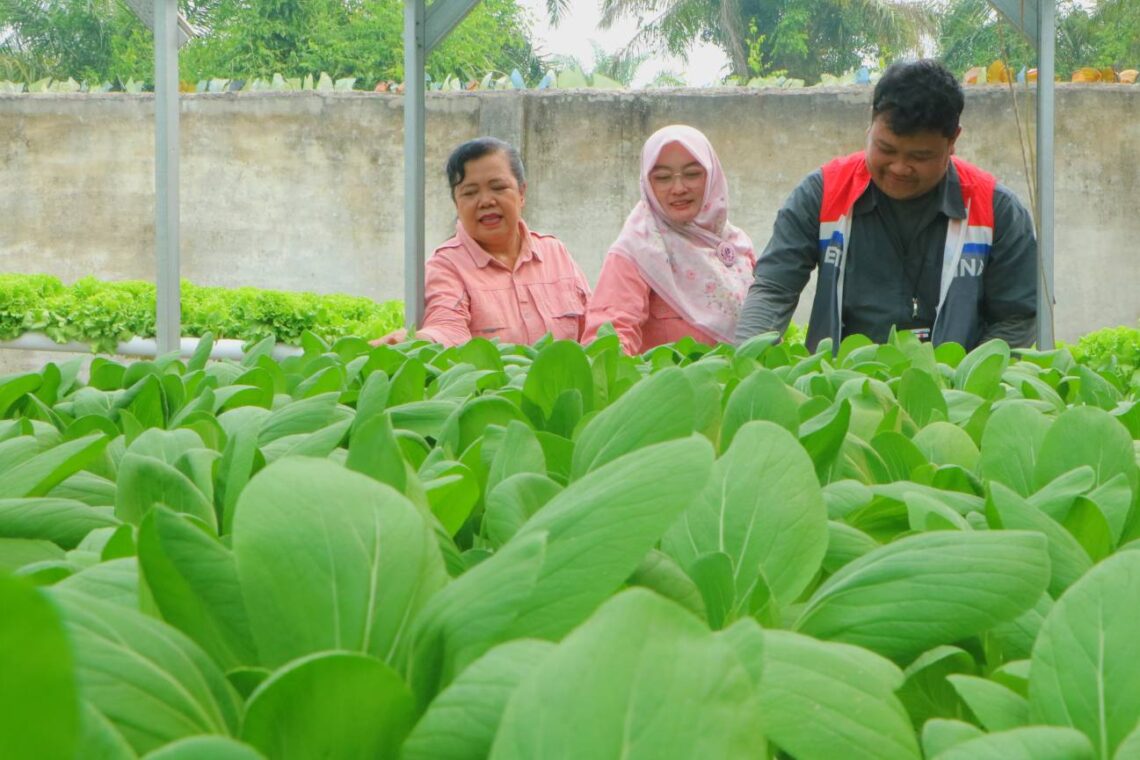 Hidroponik Merawat Gizi Ala Kelompok Wirani Rejosari
