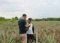 OJK Riau Jadikan Nenas Siak Proyek Percontohan Ekonomi Daerah
