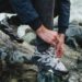4 Rekomendasi Sepatu Gunung Kualitas Terbaik dan Super Kokoh, Lengkap Harganya