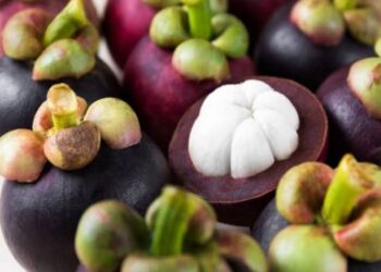 Dijuluki Ratu Buah, Inilah 5 Manfaat Buah Manggis untuk Tubuh