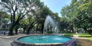 Inilah 4 Tempat Wisata Alam di Jakarta yang Cocok untuk Solo Healing