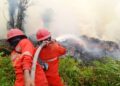 Karhutla Meluas ke 17 Provinsi, Anggota Komisi IV DPR RI Desak Presiden Tetapkan Target Terukur