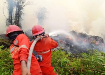Karhutla Meluas ke 17 Provinsi, Anggota Komisi IV DPR RI Desak Presiden Tetapkan Target Terukur