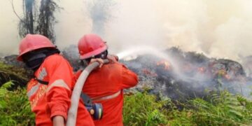 Karhutla Meluas ke 17 Provinsi, Anggota Komisi IV DPR RI Desak Presiden Tetapkan Target Terukur